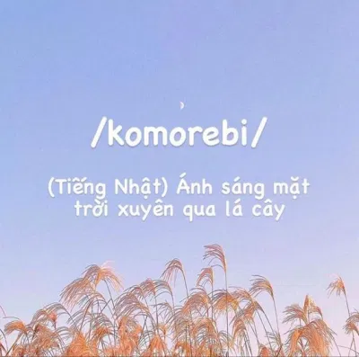 Những từ ngữ xinh đẹp trong tiếng Nhật (Nguồn: Internet)