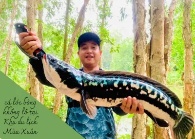 Du khách câu được cá lóc bông khổng lồ tại Khu du lịch Mùa Xuân (ảnh: internet)