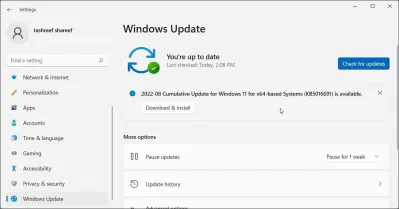 Windows Update trong Settings của Windows 11 (Ảnh: Internet) Windows Update trong Settings của Windows 11 (Ảnh: Internet)