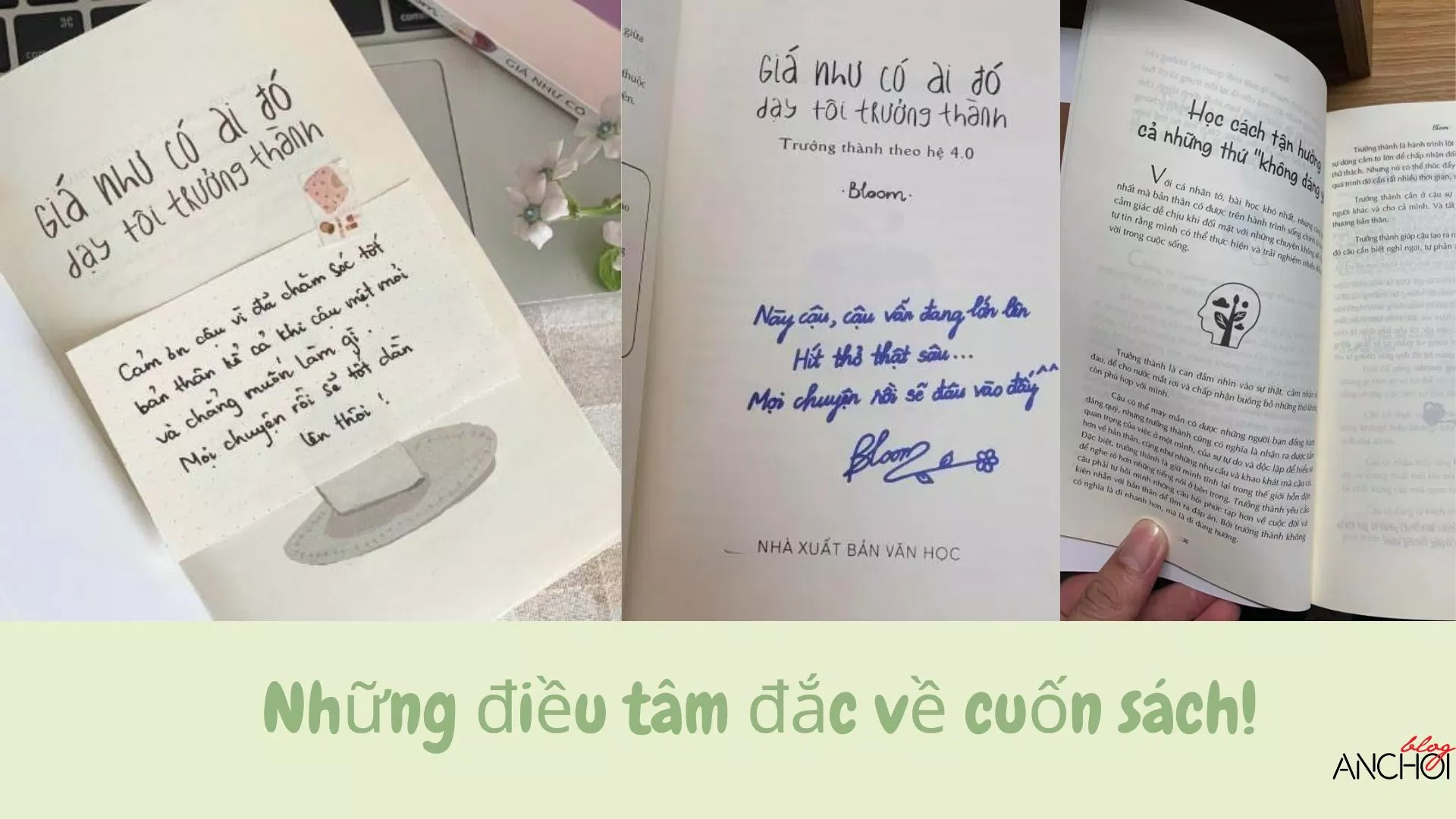 Những điều tâm đắc về sách Giá Như Có Ai Đó Dạy Tôi Trưởng Thành ( Ảnh: BlogAnChoi )