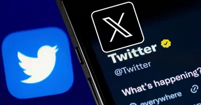 Kinh nghiệm khi sử dụng dich vụ tăng Like và Follow trên X (Ảnh: Internet) Kinh nghiệm khi sử dụng dich vụ tăng Like và Follow trên X (Ảnh: Internet)