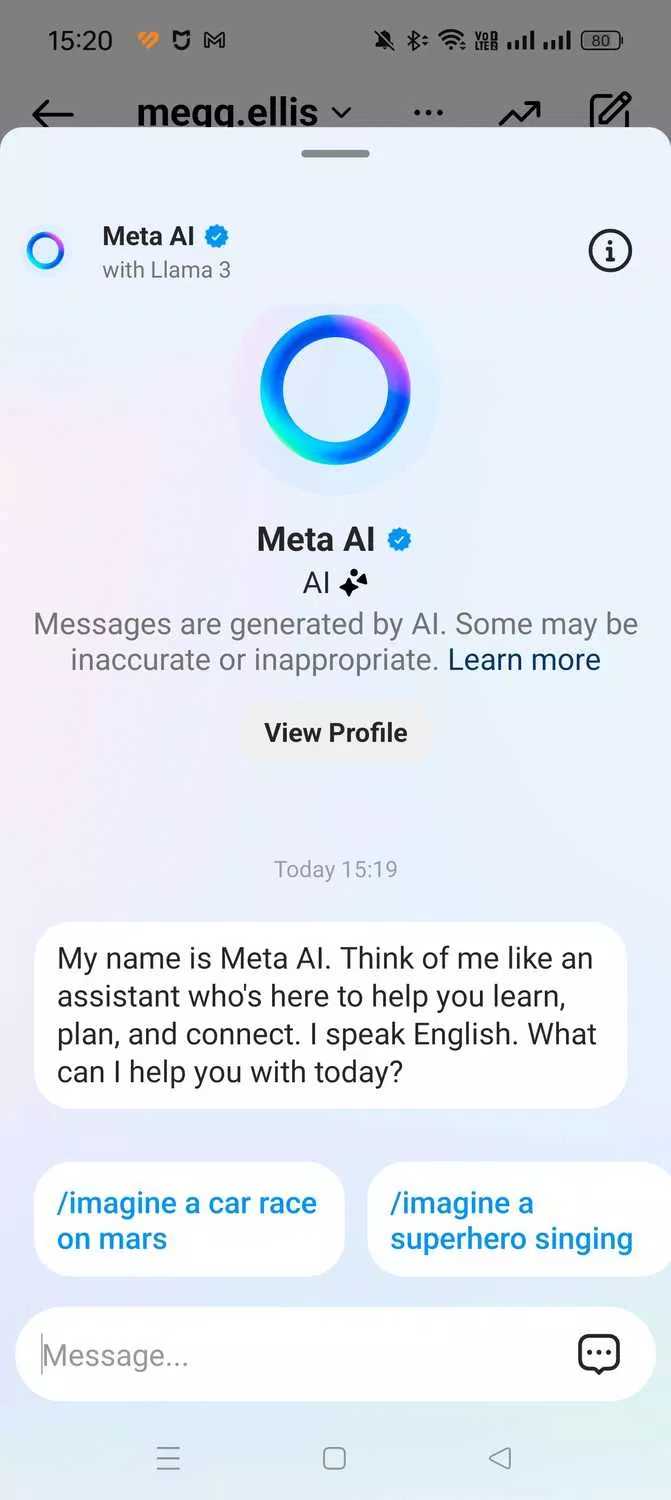 Chatbot Meta AI trong ứng dụng Instagram (Ảnh: Internet)