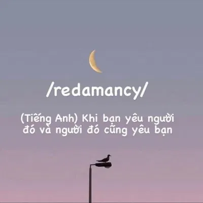 Những từ ngữ xinh đẹp trong tiếng Anh (Nguồn: internet)