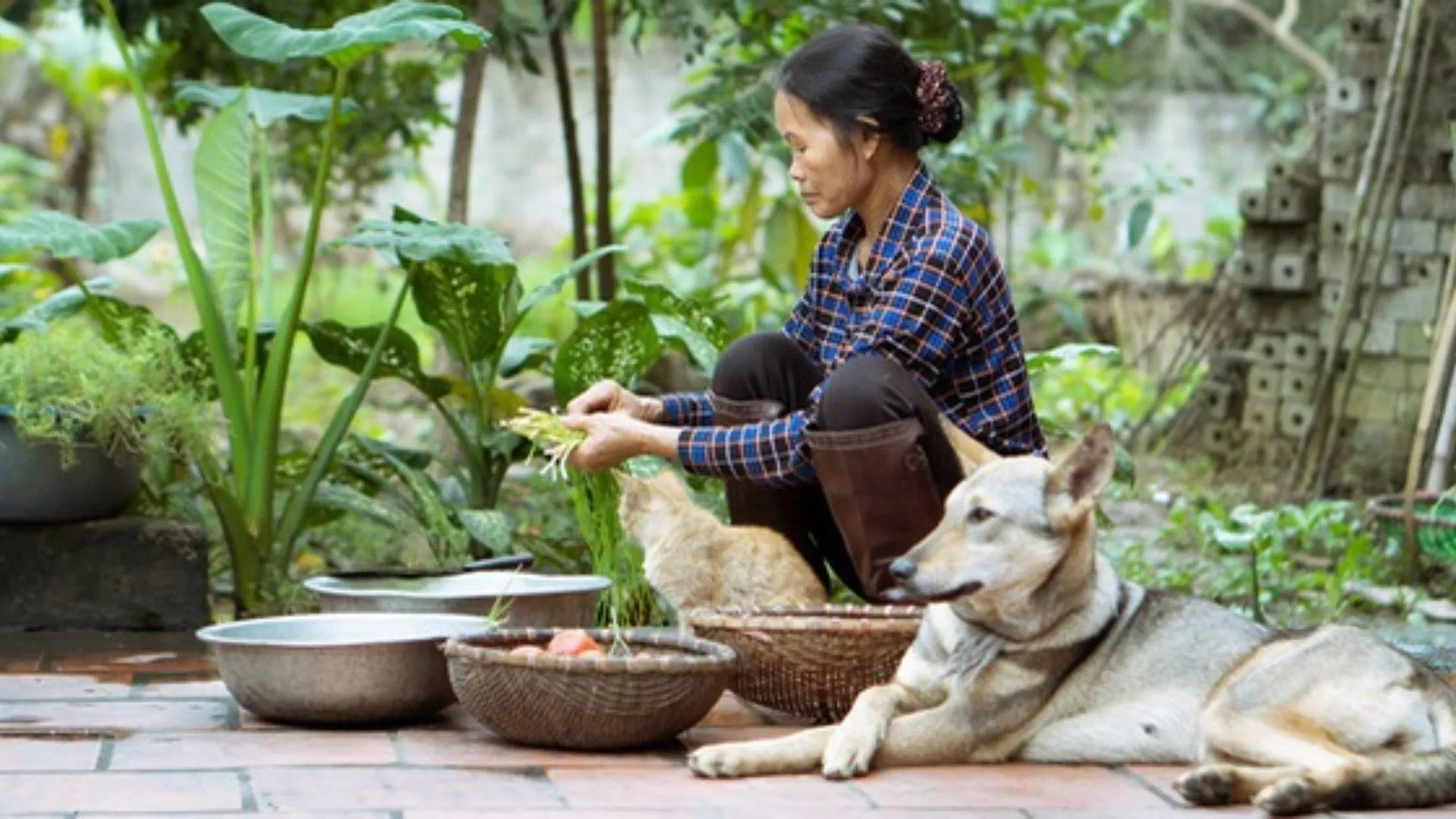 Căn bếp nhỏ cùng khu vườn xanh ngát đã tạo nên sự phát triển của kênh ( Ảnh: Internet)