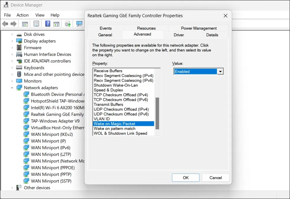 (Ảnh: Internet) (Ảnh: Internet)