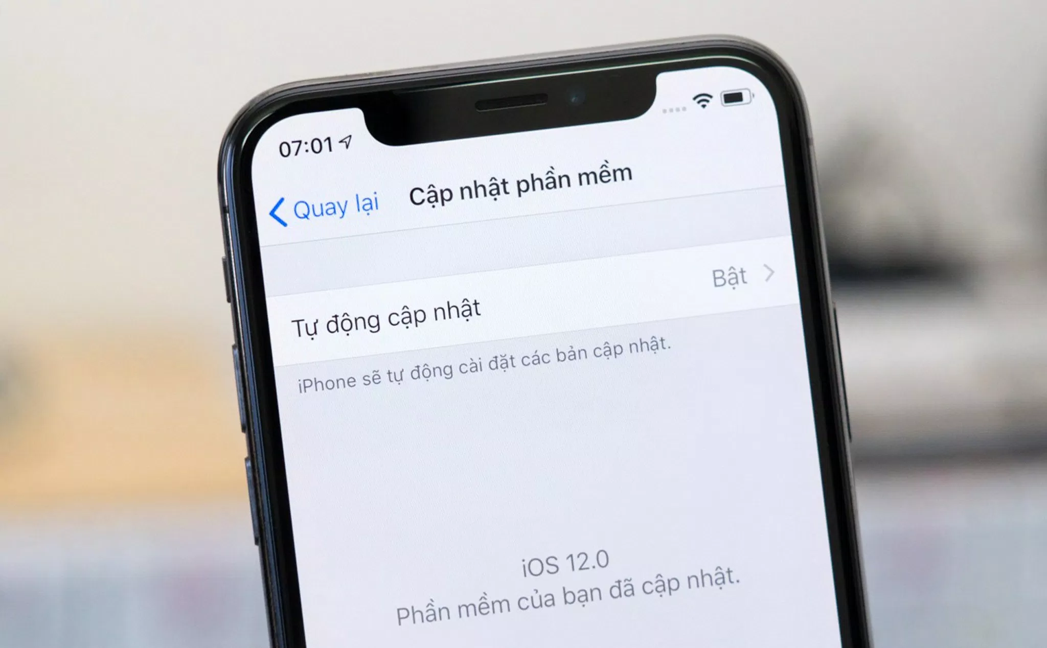 Cập nhật phần mềm iPhone chỉ với vài bước đơn giản (Ảnh: Internet)