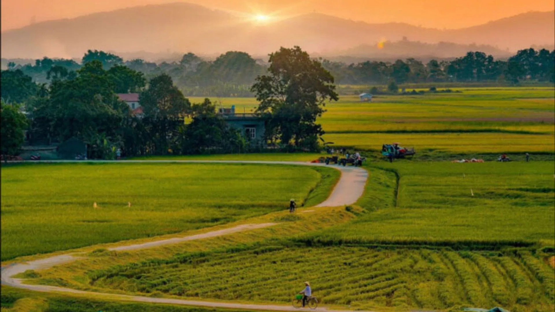 Hình ảnh quen thuộc gắn liền với tuổi thơ của hàng triệu người Việt Nam ( Ảnh: Internet)