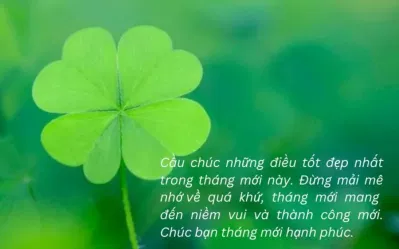 Những lời chúc bình an, may mắn hay nhất (Ảnh: Internet)