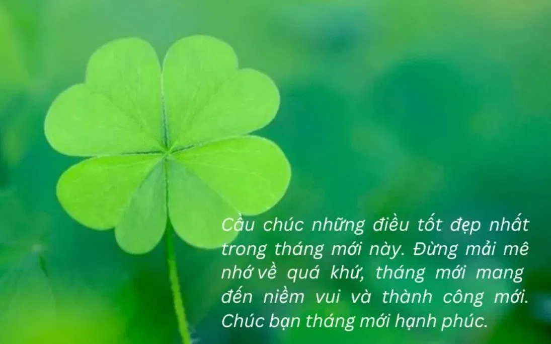 Những lời chúc bình an, may mắn hay nhất (Ảnh: Internet)