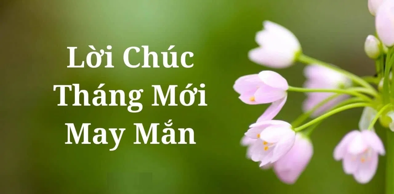 Những lời chúc bình an, may mắn hay nhất (Ảnh: Internet)