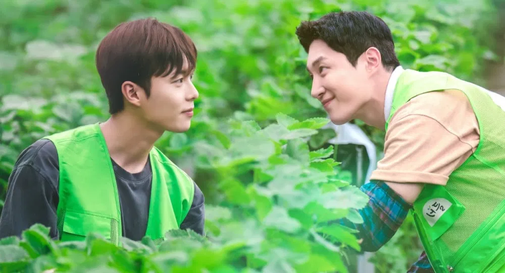 Love Tractor (Ảnh: Internet)