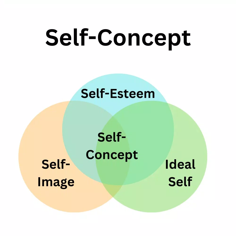 Các thành phần của Self-concept