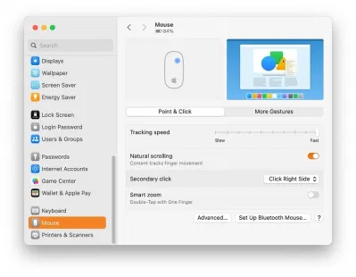 Cài đặt chuột trong hệ điều hành macOS với nút chuột phụ đang hoạt động (Ảnh: Internet) Cài đặt chuột trong hệ điều hành macOS với nút chuột phụ đang hoạt động (Ảnh: Internet)