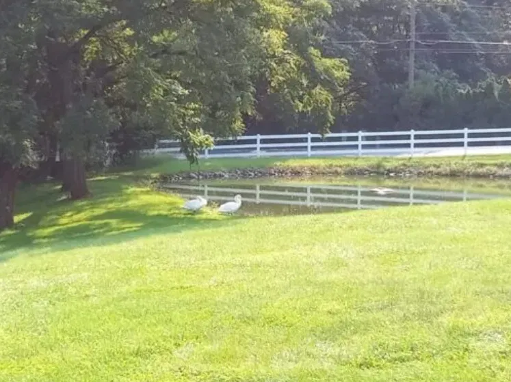 Ảnh chụp zoom 4x bằng điện thoại Galaxy A12 (Ảnh: Internet) Ảnh chụp zoom 4x bằng điện thoại Galaxy A12 (Ảnh: Internet)