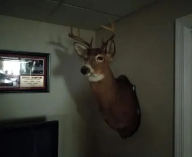 Ảnh chụp trong điều kiện ánh sáng yếu bằng điện thoại Galaxy A12 (Ảnh: Internet) Ảnh chụp trong điều kiện ánh sáng yếu bằng điện thoại Galaxy A12 (Ảnh: Internet)