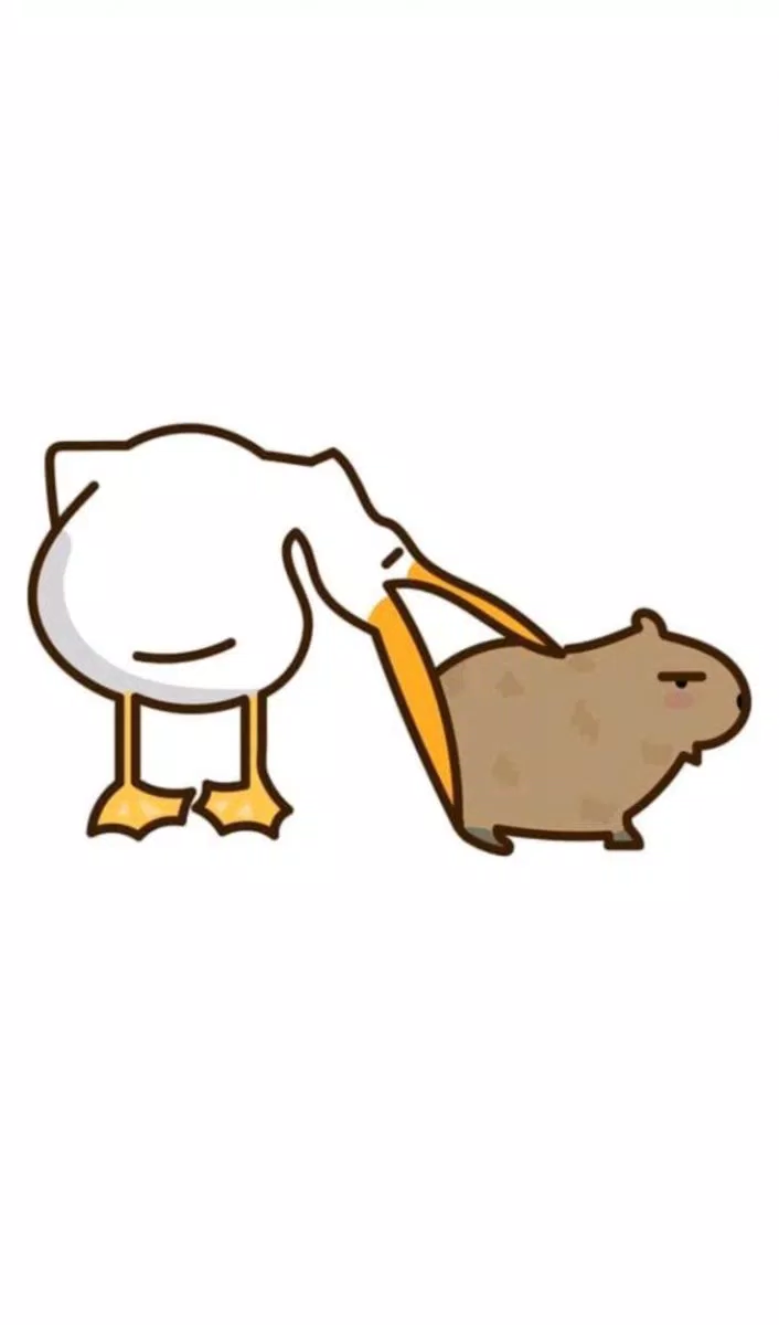 Hình nền Capybara siêu đáng yêu