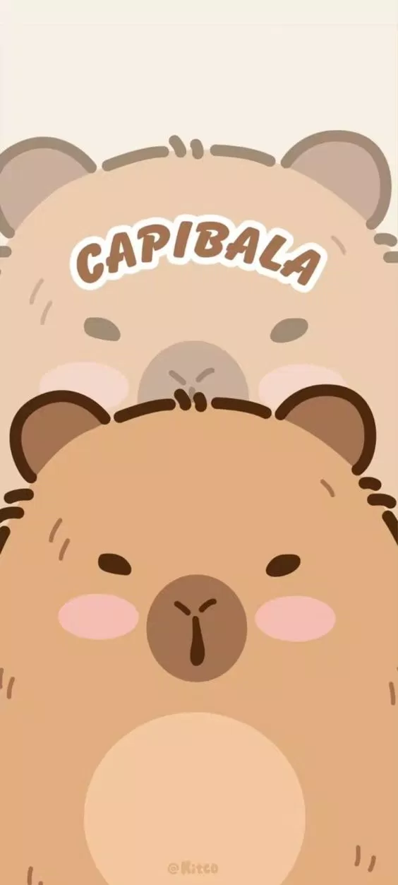 Hình nền Capybara siêu đáng yêu