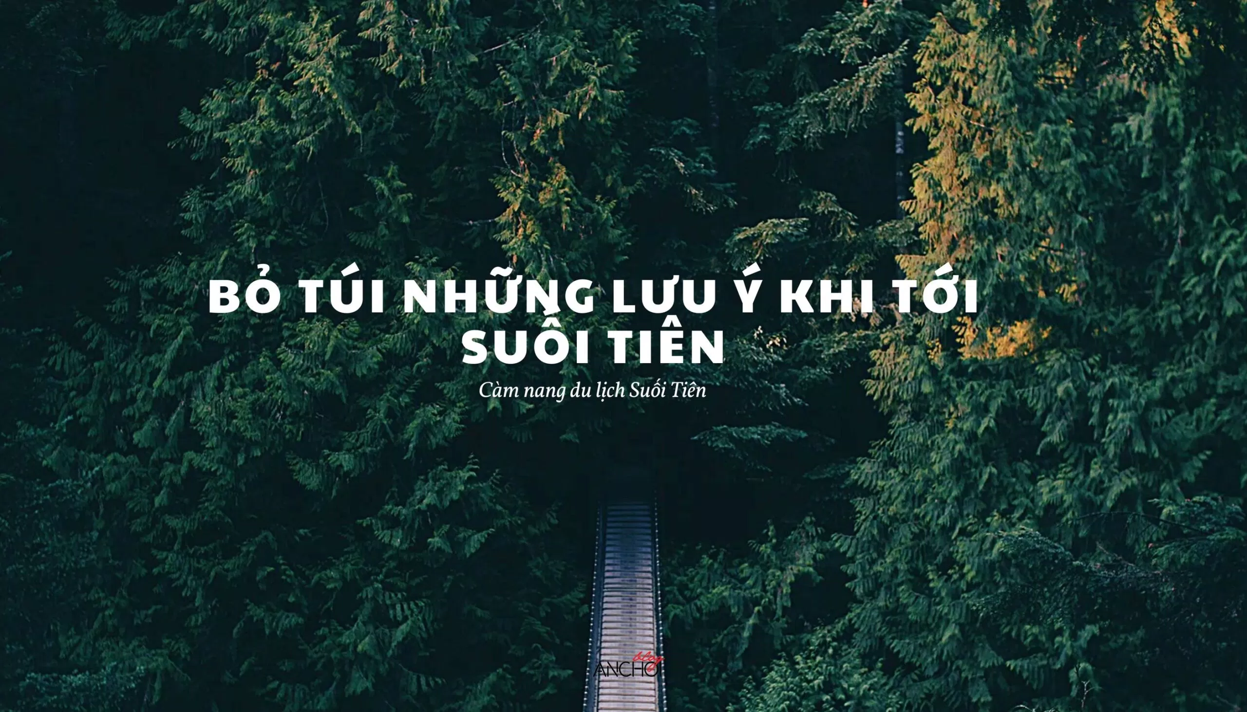 Cẩm nang du lịch Suối Tiên - những lưu ý khi tới Suối Tiên (Ảnh: BlogAnChoi)