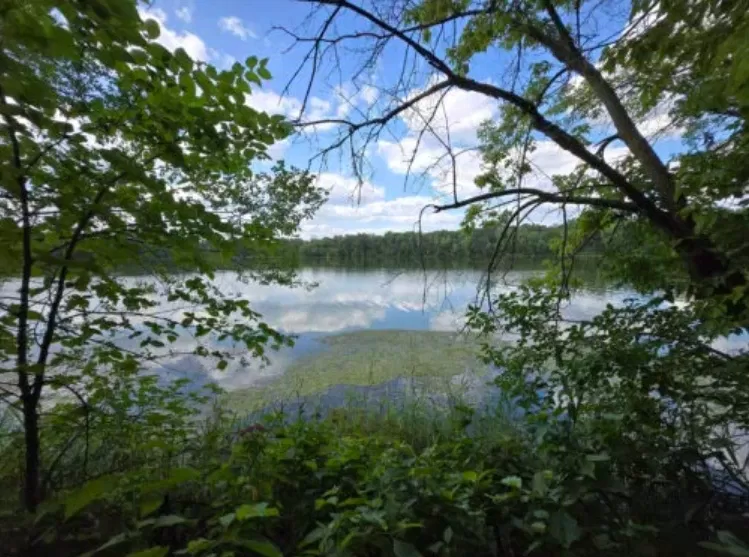 Ảnh chụp bằng điện thoại Galaxy Z Fold 6 với ống kính siêu rộng (Ảnh: Internet) Ảnh chụp bằng điện thoại Galaxy Z Fold 6 với ống kính siêu rộng (Ảnh: Internet)