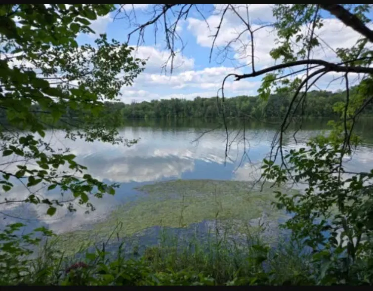 Ảnh chụp bằng điện thoại Galaxy Z Fold 6 với ống kính chính (Ảnh: Internet) Ảnh chụp bằng điện thoại Galaxy Z Fold 6 với ống kính chính (Ảnh: Internet)