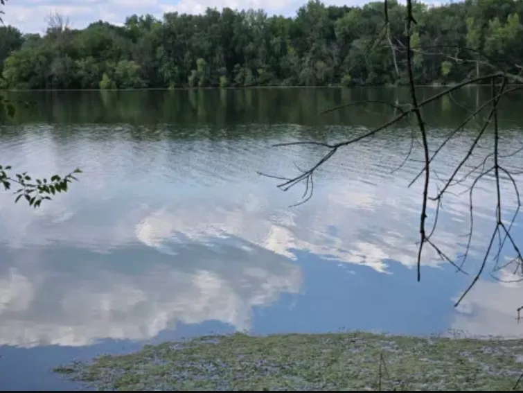 Ảnh chụp bằng điện thoại Galaxy Z Fold 6 với ống kính tele 3x (Ảnh: Internet) Ảnh chụp bằng điện thoại Galaxy Z Fold 6 với ống kính tele 3x (Ảnh: Internet)