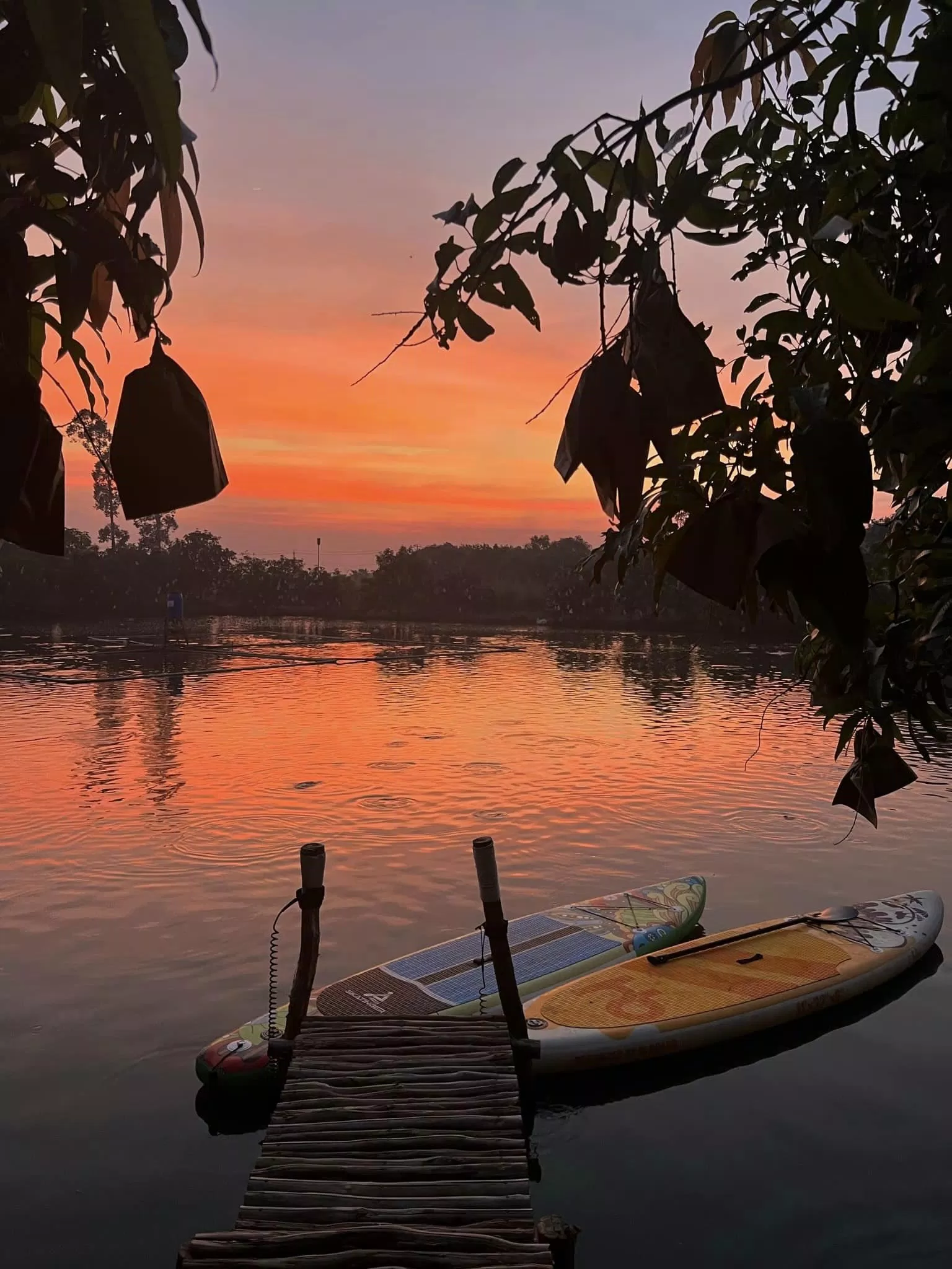 Ngắm hoàng hôn tại vườn (nguồn: The Mango Trail)