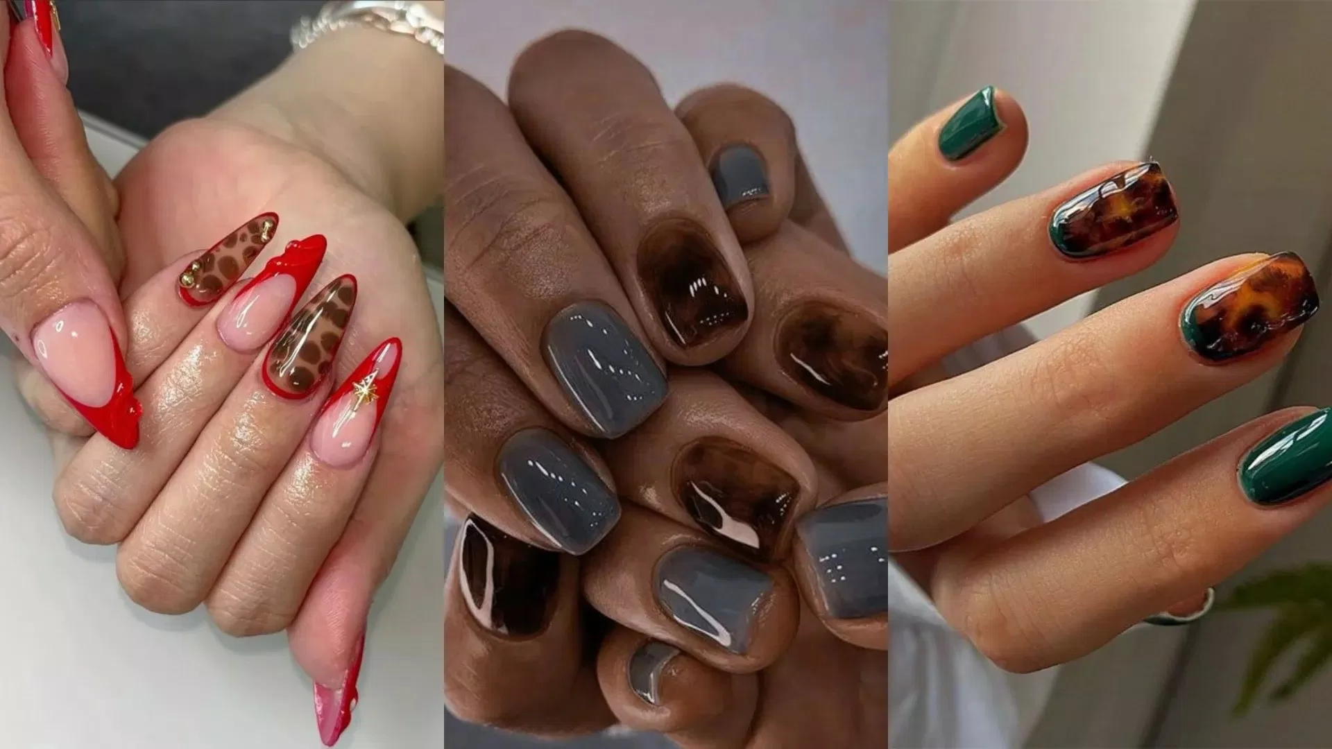 Nổi bật với Tortie Nails (Nguồn: Internet)