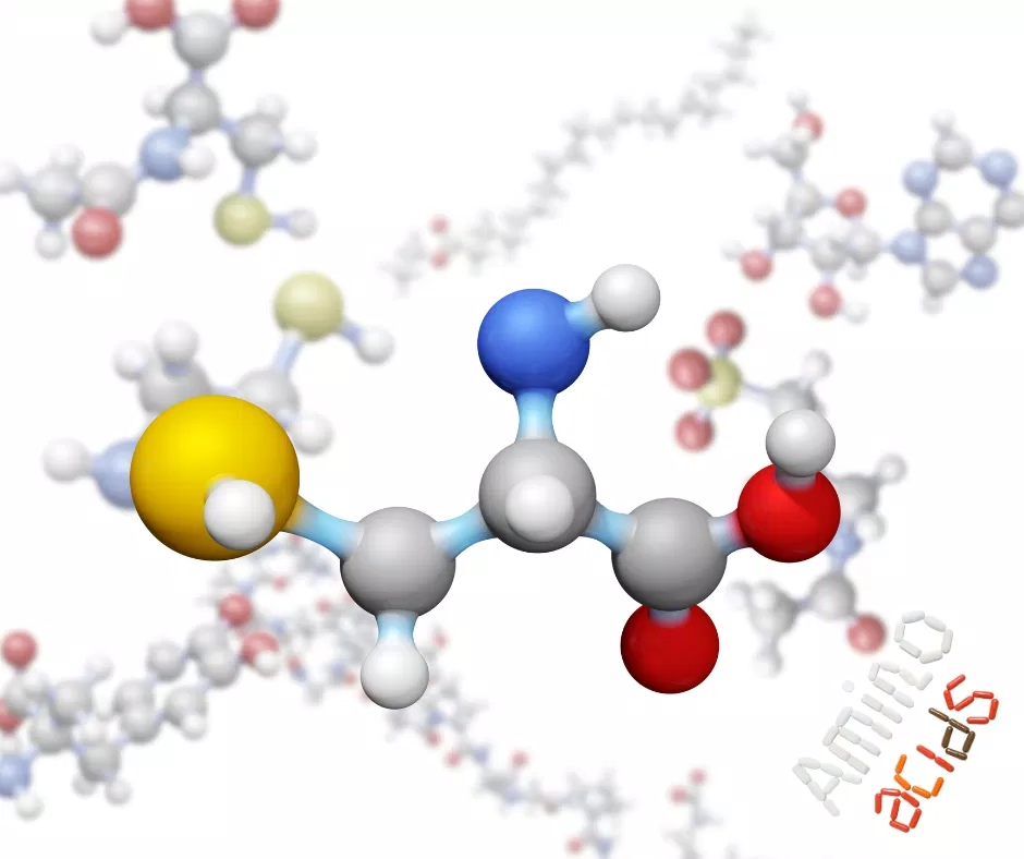 Với nhiều dạng Amino Acid khác nhau sẽ phù hợp cho từng nhu cầu và vấn đề da đang gặp phải (nguồn: internet)