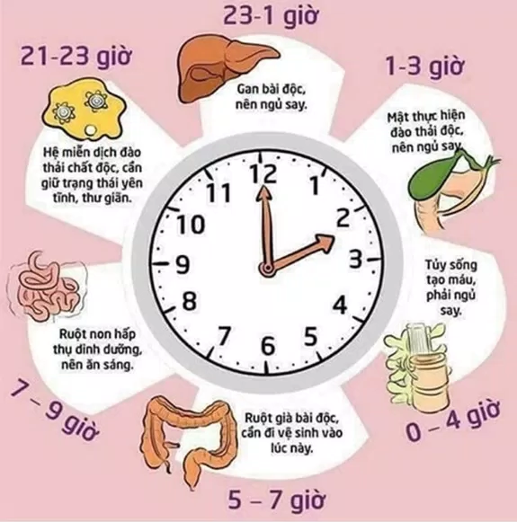 Các nguyên dẫn đến men gan tăng cao ở giới trẻ không dùng rượu bia ăn uống Chức năng đồ dùng gan giới trẻ Khám sức khoẻ Men gan tăng Men gan tăng cao ở giới trẻ mỹ phẩm retinol rượu bia sức khỏe Tác hại của đồ dùng làm bằng giấy Tác hại của rượu bia đến gan Tác hại thức khuya Tác hại thực phẩm chức năng đến gan Tác hại xấu đến gan Tầm soát bệnh Tầm soát bệnh gan thành phần thức khuya thực phẩm thực phẩm chức năng thuốc kháng sinh Thuốc kháng viêm vitamin A