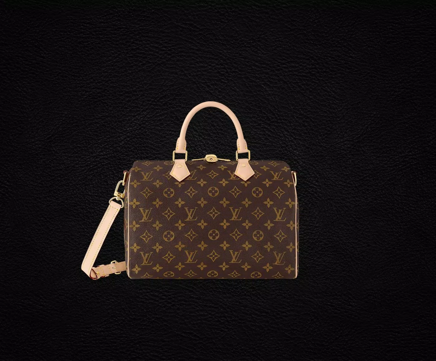 Louis Vuitton Speedy Bag