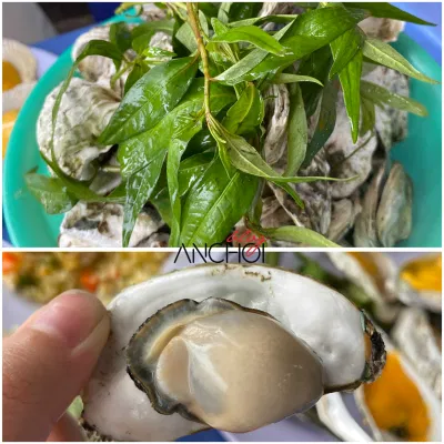 Món hàu sữa hấp tại quán hàu sữa Quý Mập (nguồn: BlogAnChoi)