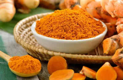 Nghệ