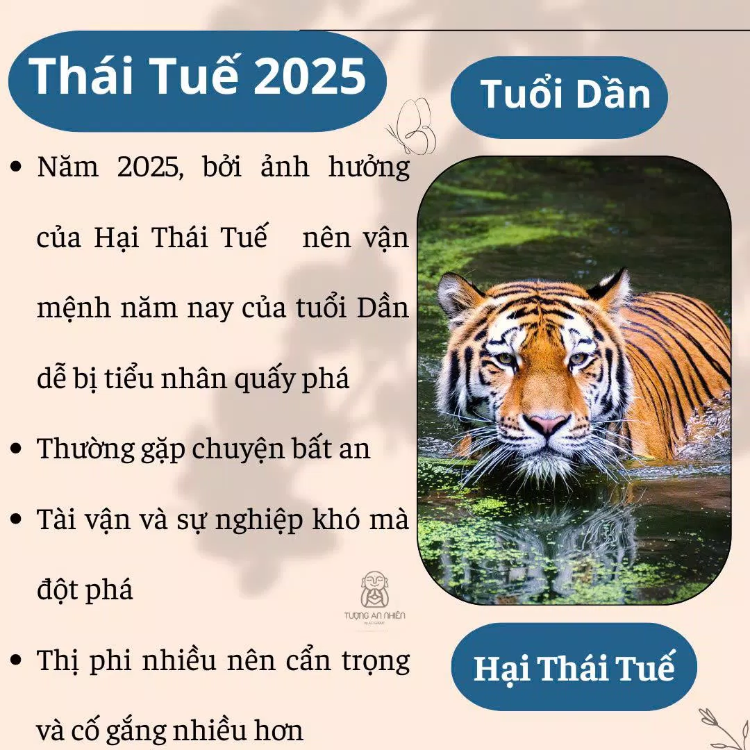 phạm Thái Tuế 2025 (Ảnh: Internet)