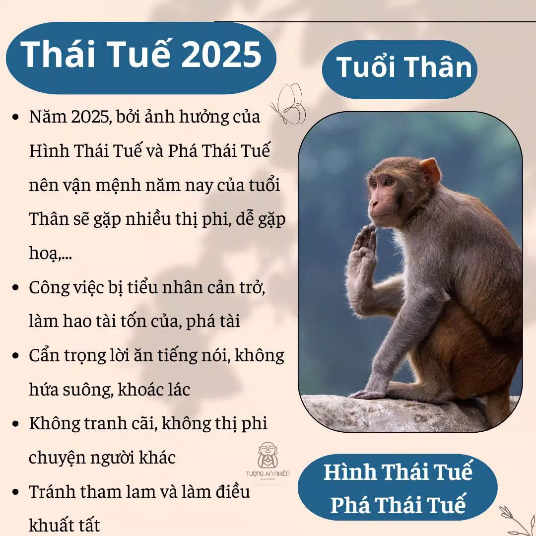 phạm Thái Tuế 2025 (Ảnh: Internet)