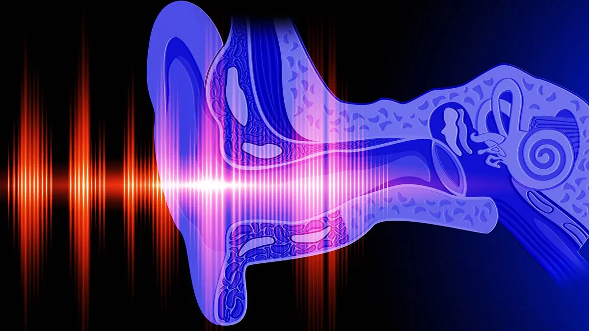 Auditory Illusion
