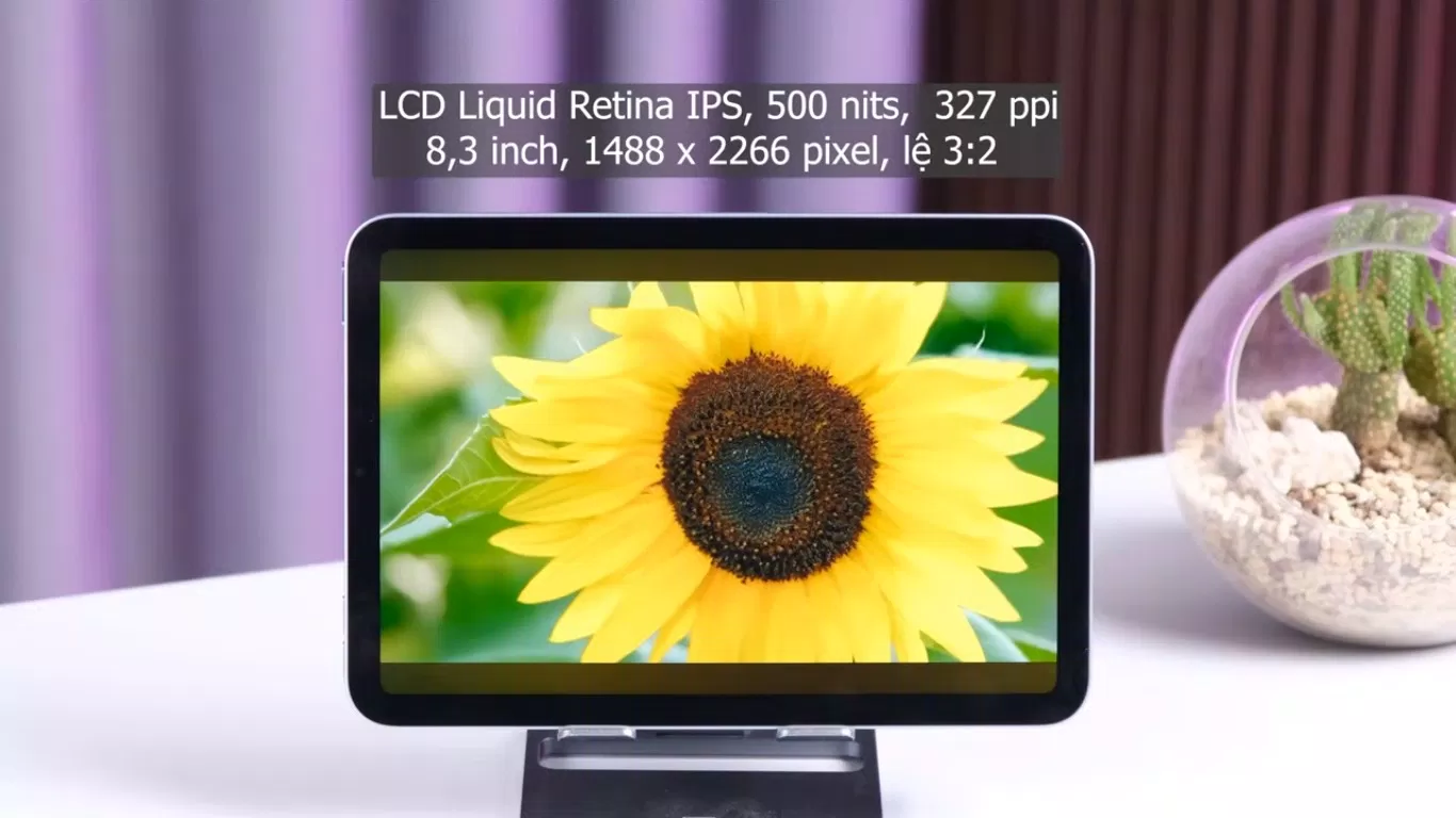 Màn hình iPad mini 7 không có quá nhiều sự khác biệt so với iPad Mini 6 (Ảnh: Internet) Màn hình iPad mini 7 không có quá nhiều sự khác biệt so với iPad Mini 6 (Ảnh: Internet)