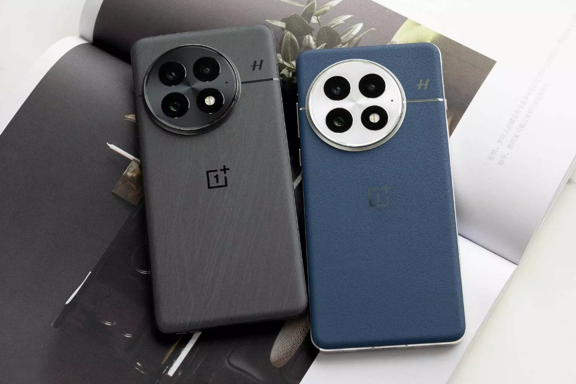 OnePlus 13 Mini dự kiến sẽ trang bị 3 ống kính camera ở mặt sau (Ảnh: Internet) OnePlus 13 Mini dự kiến sẽ trang bị 3 ống kính camera ở mặt sau (Ảnh: Internet)