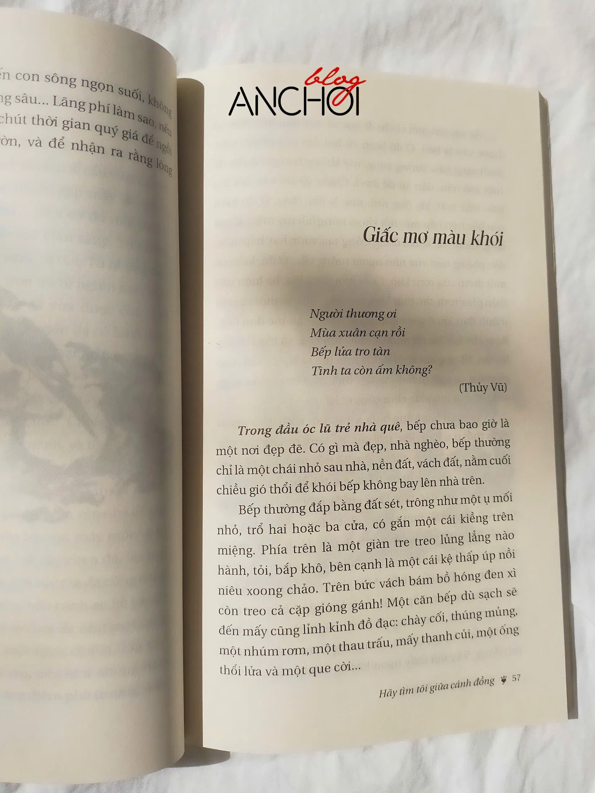 Hãy tìm tôi giữa cánh đồng (Ảnh: Bloganchoi)