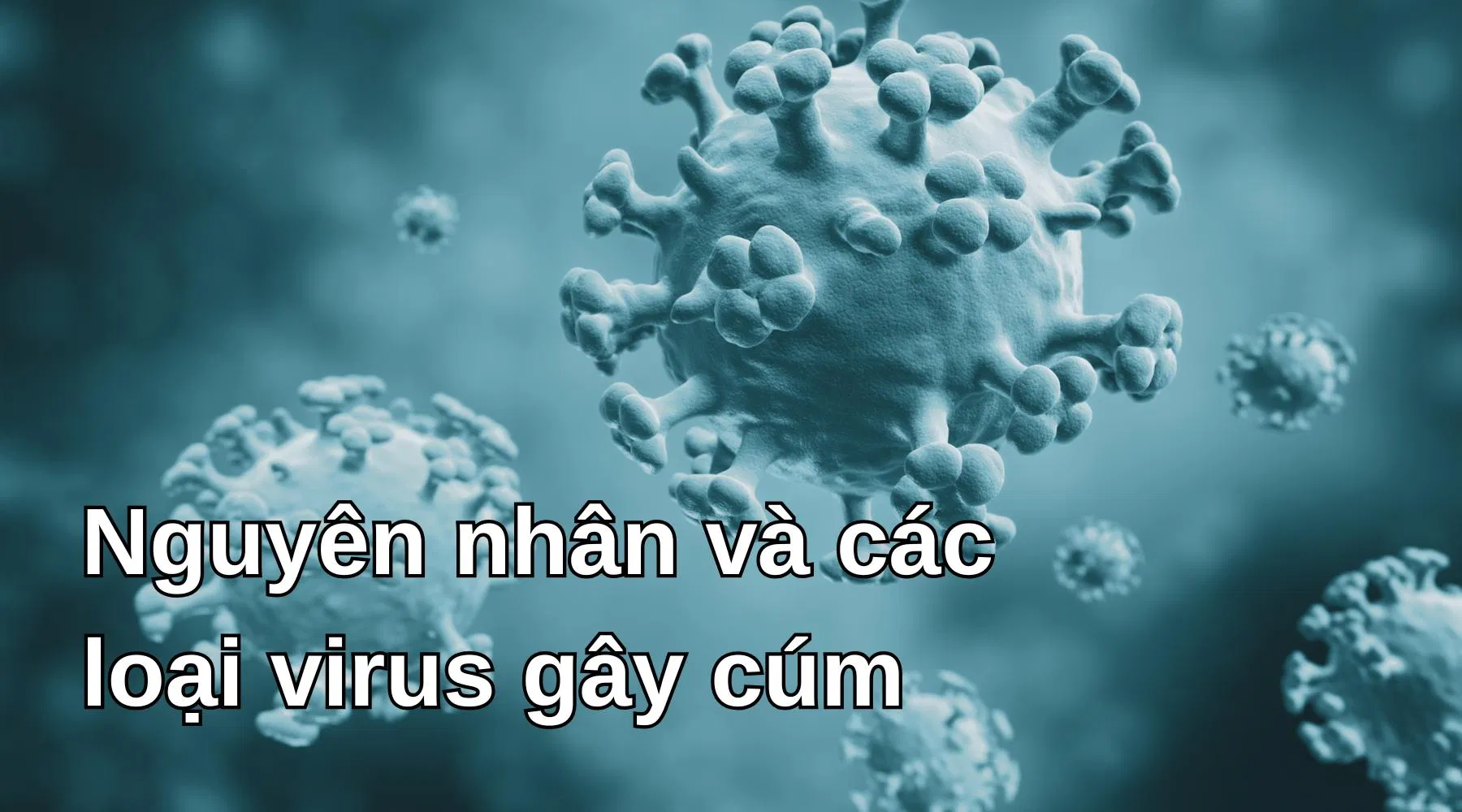 Nguyên nhân và các loại virus gây cúm - Ảnh: Internet