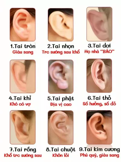 Nhân tướng học: Những yếu tố để xem một người có đáng hẹn hò hay không (Ảnh: Internet)