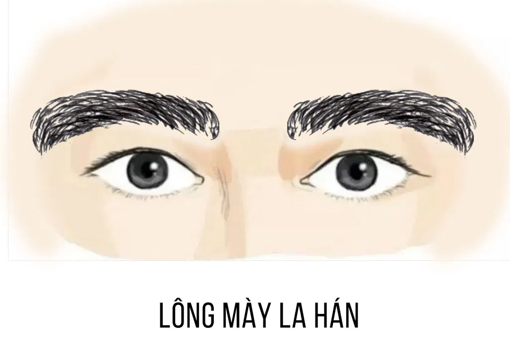 Lông mày ngắn và lộn xộn, nhìn chung trông chật chội và thưa thớt. (Ảnh: Internet)