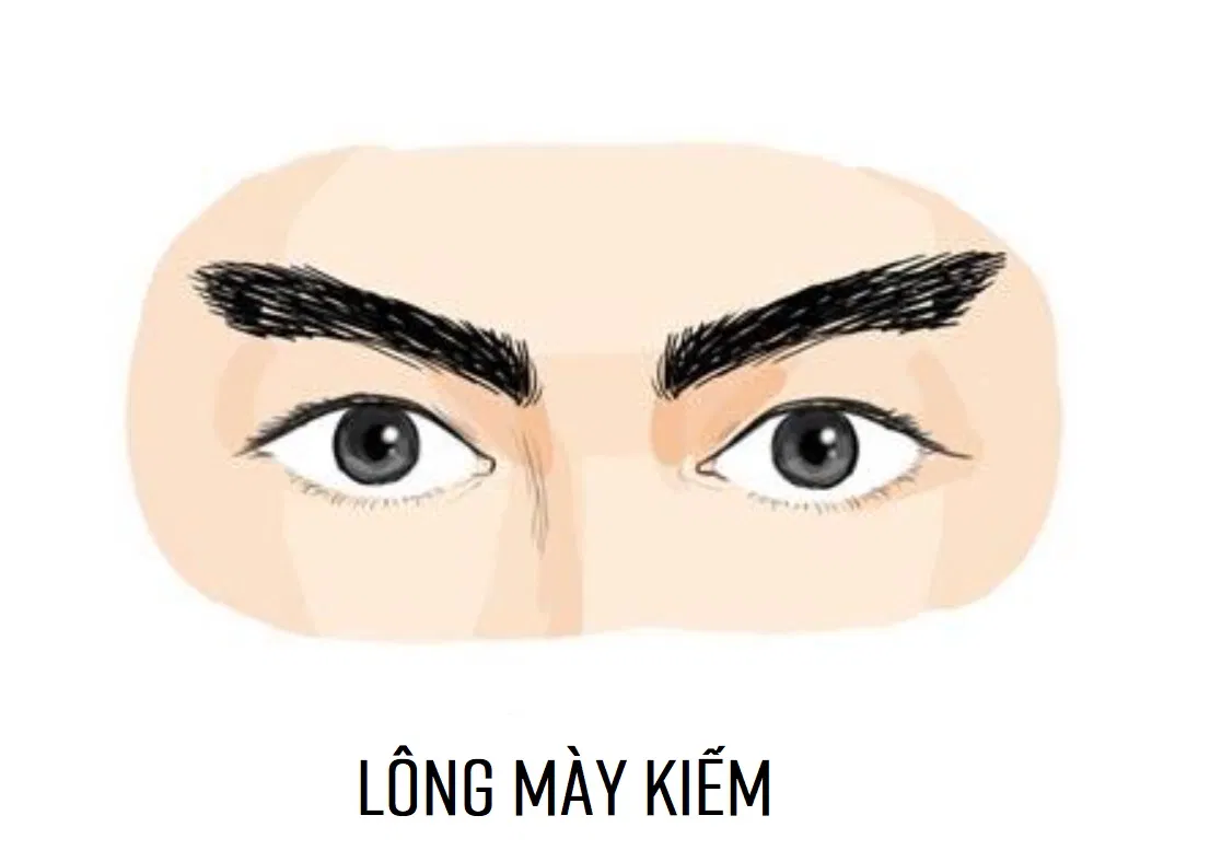 Tướng lông mày lưỡi kiếm (Ảnh: Internet)