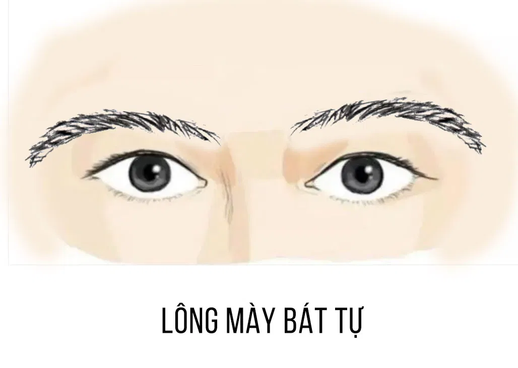 Ý nghĩa hình dáng lông mày đàn ông (Ảnh: Internet)