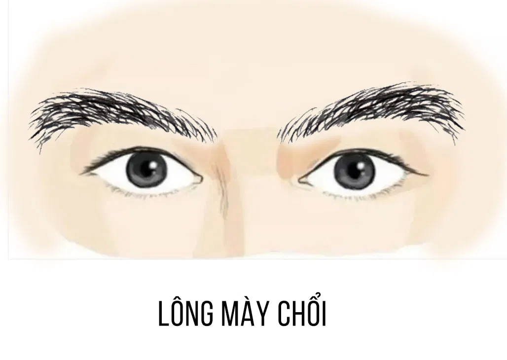 Đuôi lông mày dần thưa thớt và rải rác, biểu tượng cho sự “phân tán của cải”. (Ảnh: Internet)