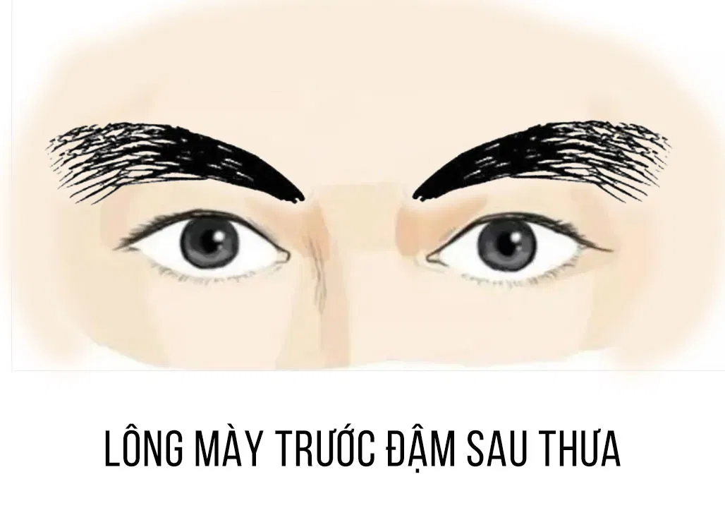 Tướng lông mày trước rậm sau thưa (Ảnh: Internet)