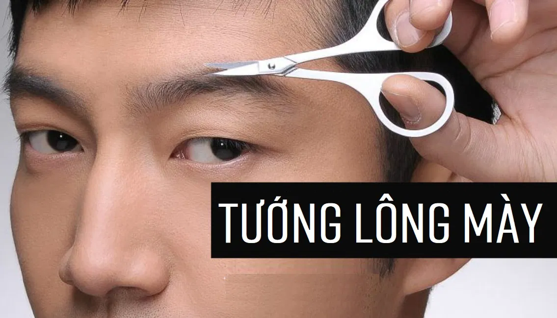 Ý nghĩa tướng lông mày đàn ông