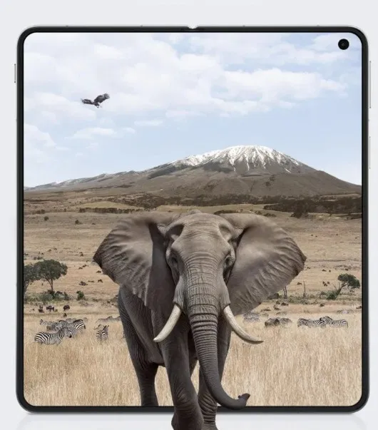 OPPO Find N5 (Ảnh: Internet)