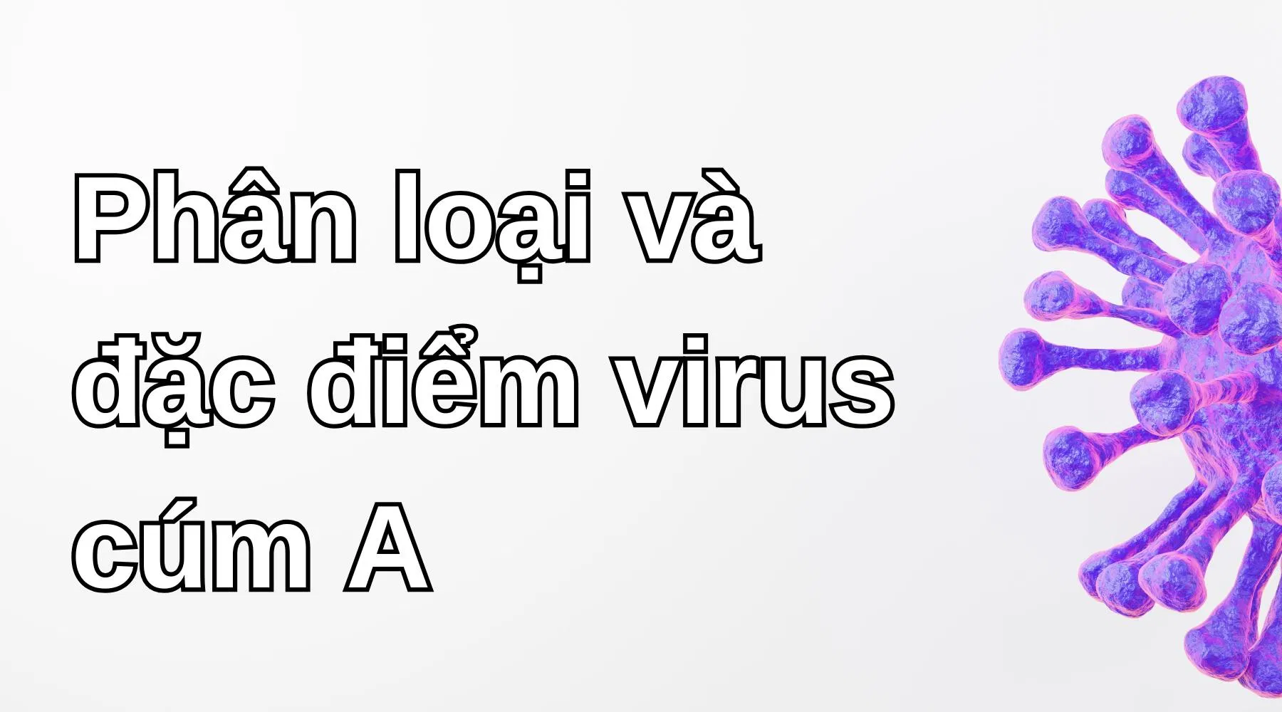 Phân loại và đặc điểm virus cúm A - Ảnh: Internet Phân loại và đặc điểm virus cúm A - Ảnh: Internet