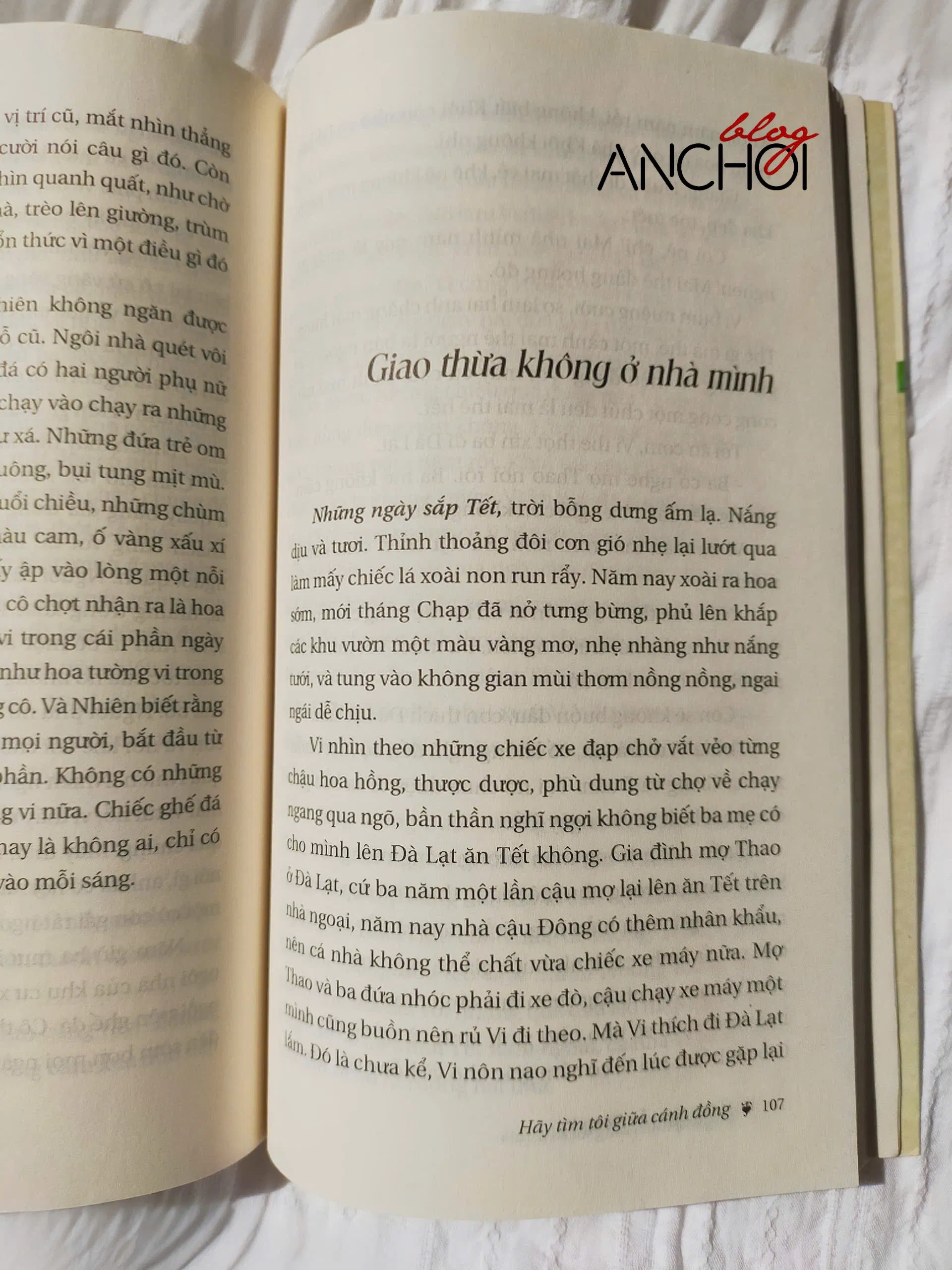 Hãy tìm tôi giữa cánh đồng (Ảnh: Bloganchoi)