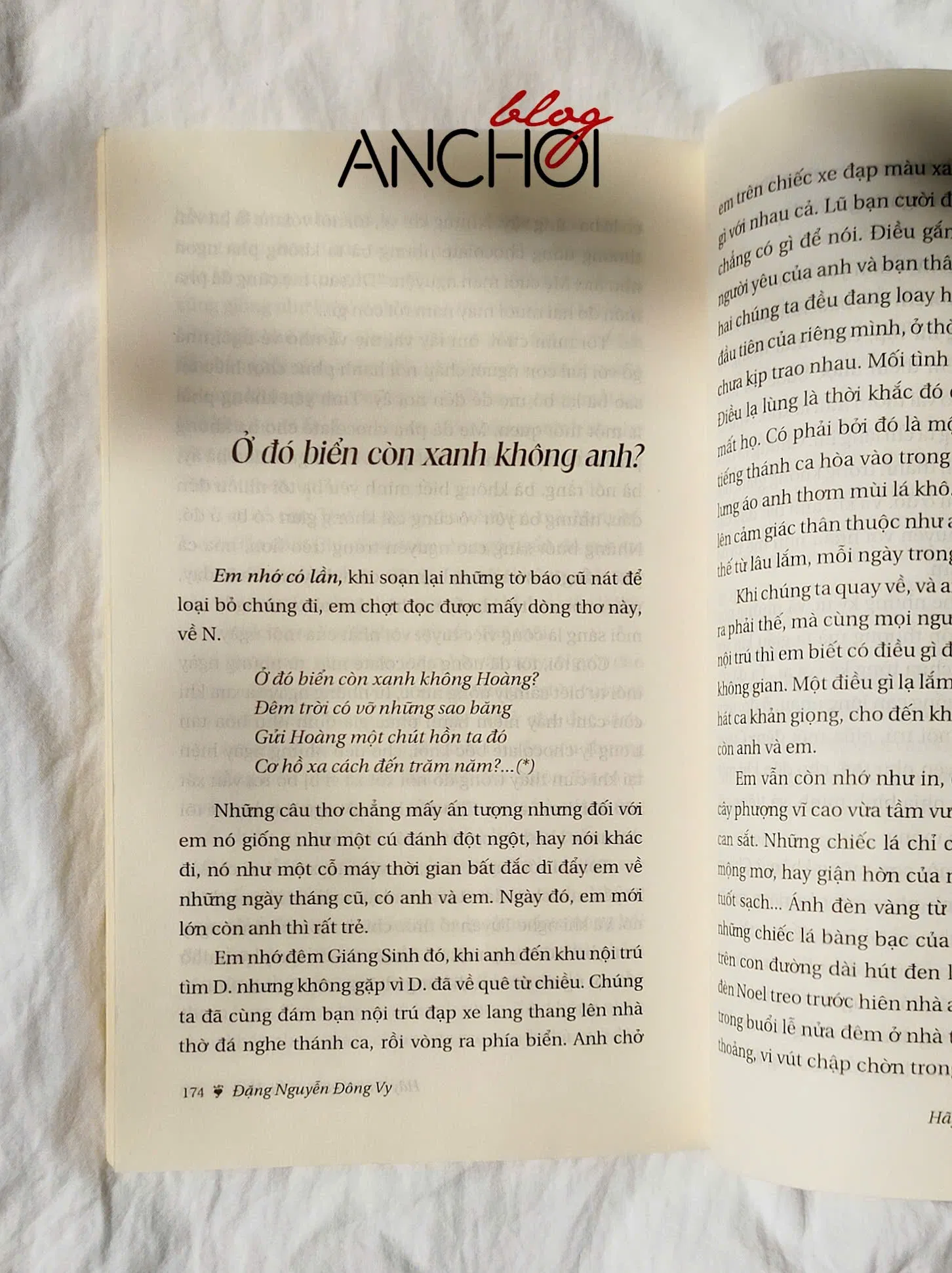 Hãy tìm tôi giữa cánh đồng (Ảnh: Bloganchoi)